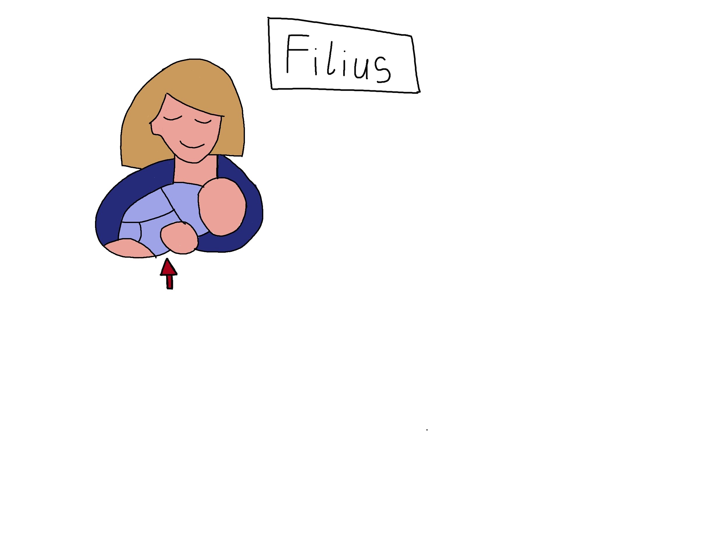 filius1.jpg