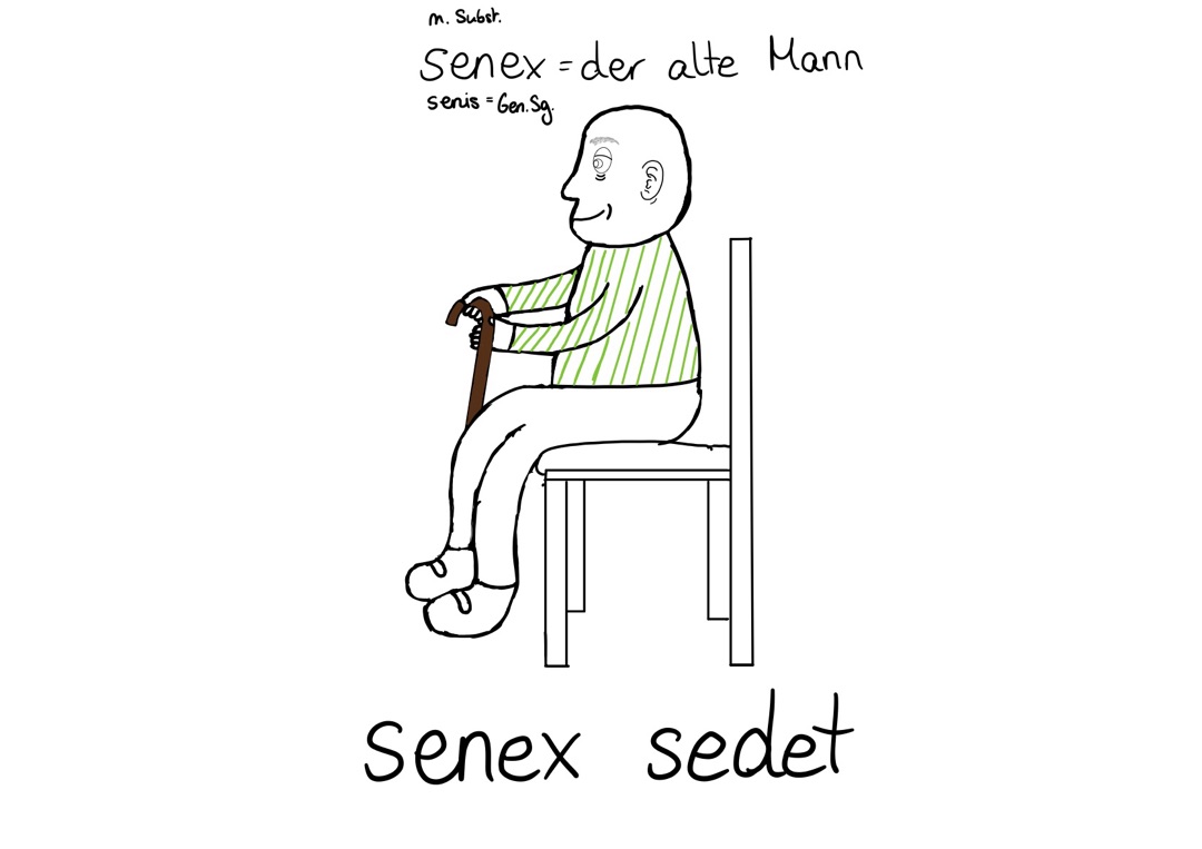 senex5.jpg