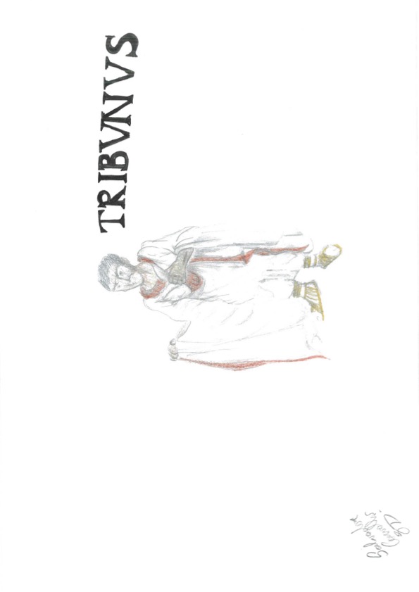 tribunus4.jpg